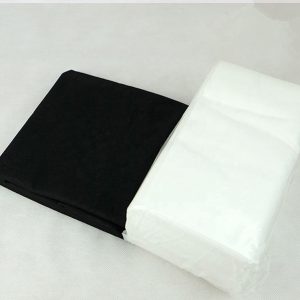 Disposable Towels (2)