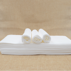 Disposable Towels (2)