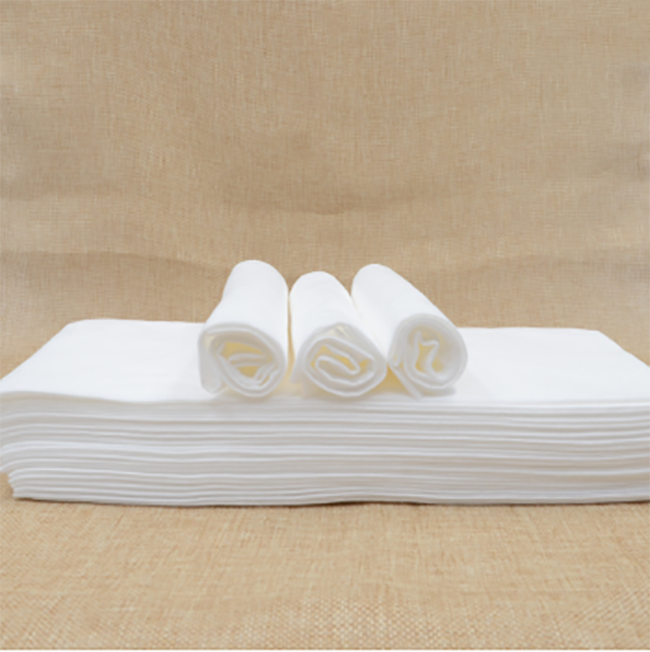 Disposable Towels (2)