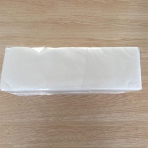 Disposable Towels (3)
