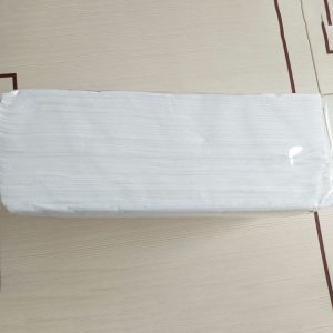 Disposable Towels (4)